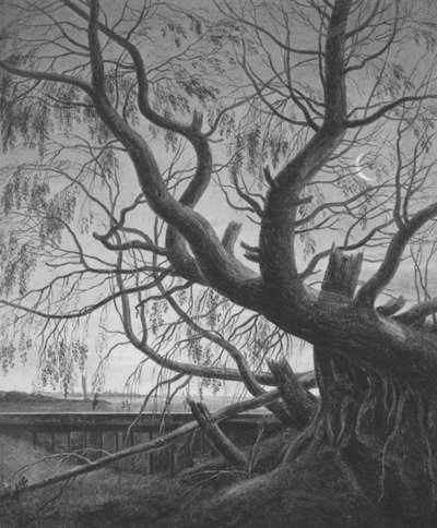Sauce a la luz de la luna de Caspar David Friedrich
